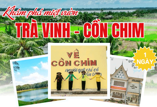 Tour Cồn Chim Trà Vinh 1 Ngày